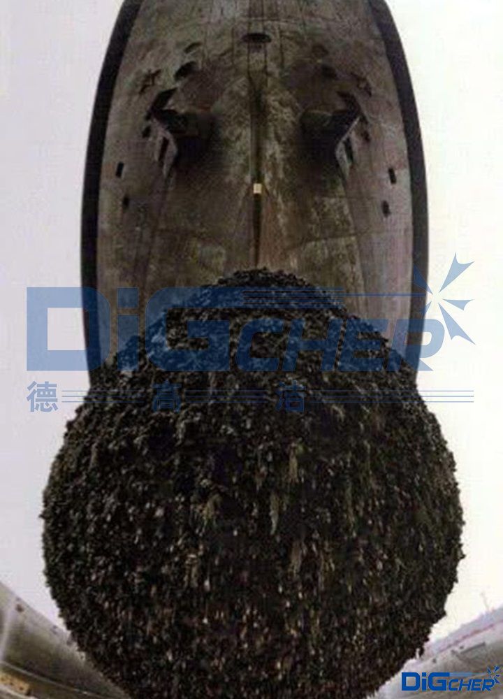 航母船底海生物污損
