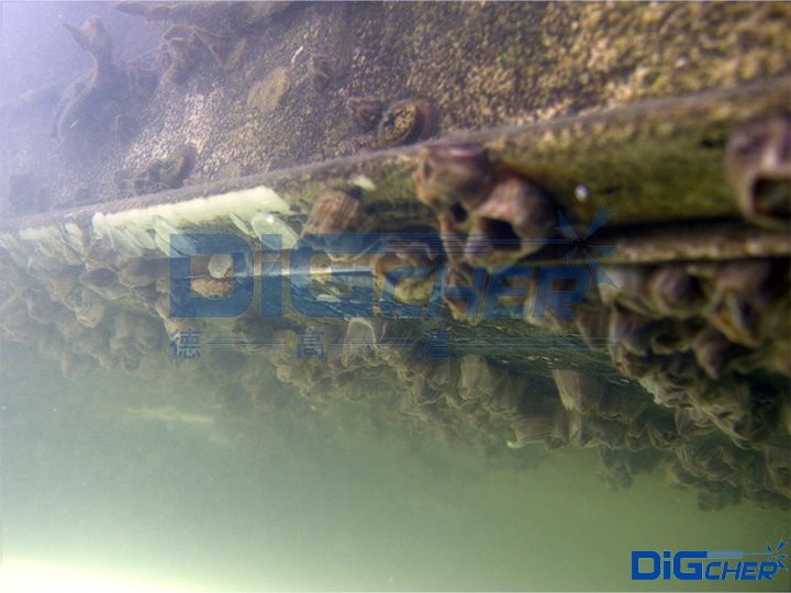 �ىظ����ں����Oʩ����