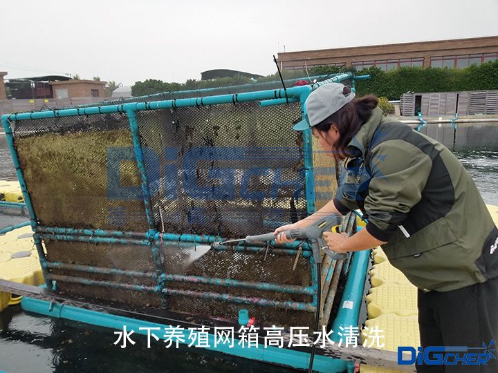 ˮ���B(y��ng)ֳ�W(w��ng)��߉�ˮ��ϴ